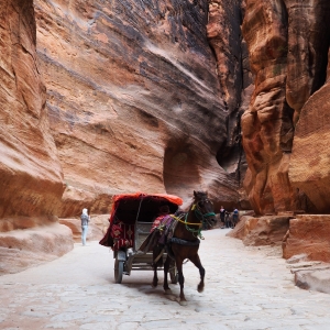 Petra, Jerash, Madaba, and Mount Nebo Tour from Jerusalem or Tel Aviv – 2 Days